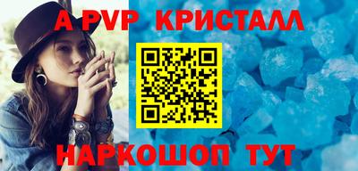 бошки Кингисепп