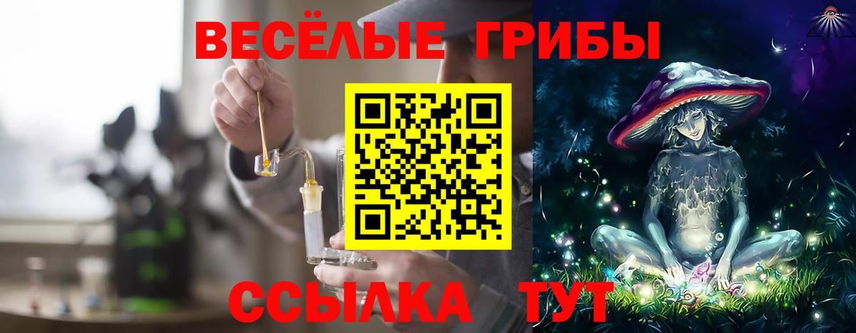 Галлюциногенные грибы Cubensis Нефтеюганск