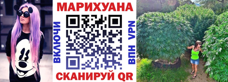 Канабис сатива Нефтеюганск